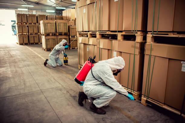 Best Pest Control Near Me in Olive Hill, KY