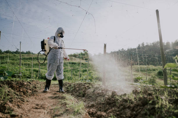Best Pest Removal Services  in Olive Hill, KY