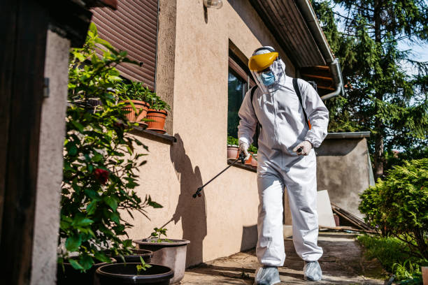 Flea Control Services in Olive Hill, KY