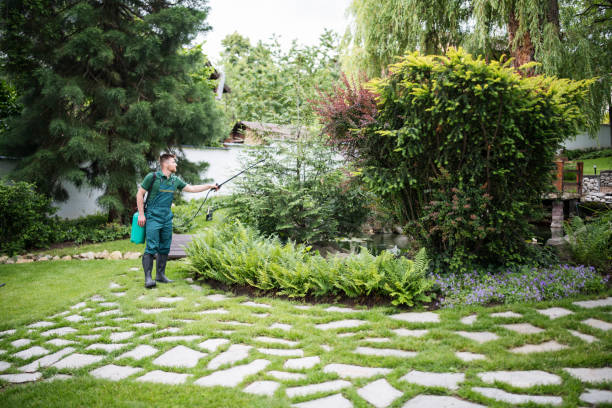 Best Exterminator Services  in Olive Hill, KY
